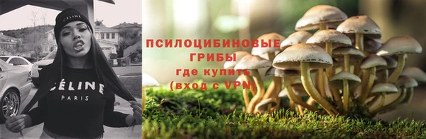 хмурый Зерноград