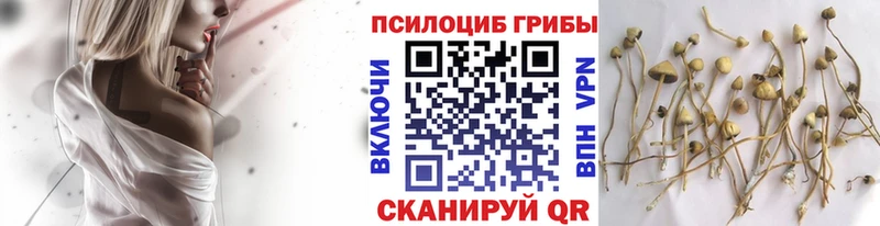Псилоцибиновые грибы GOLDEN TEACHER  Купить  Искитим 